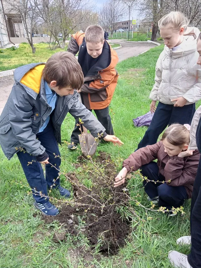 🌳"Зеленая весна" в нашей школе: Сажаем будущее вместе!