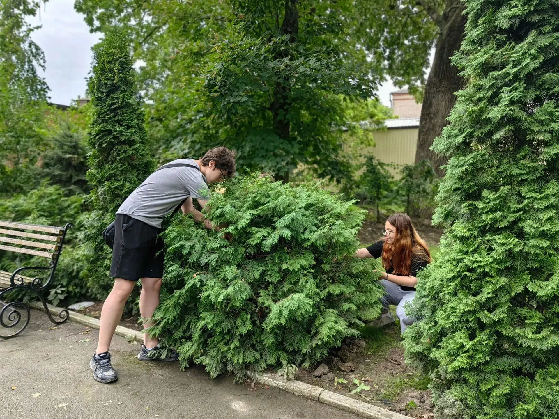 ☘️Студенты техникума продолжают акцию «Зеленый патруль»☘️ 

🌿С 13 по 17 июля на территории учебного