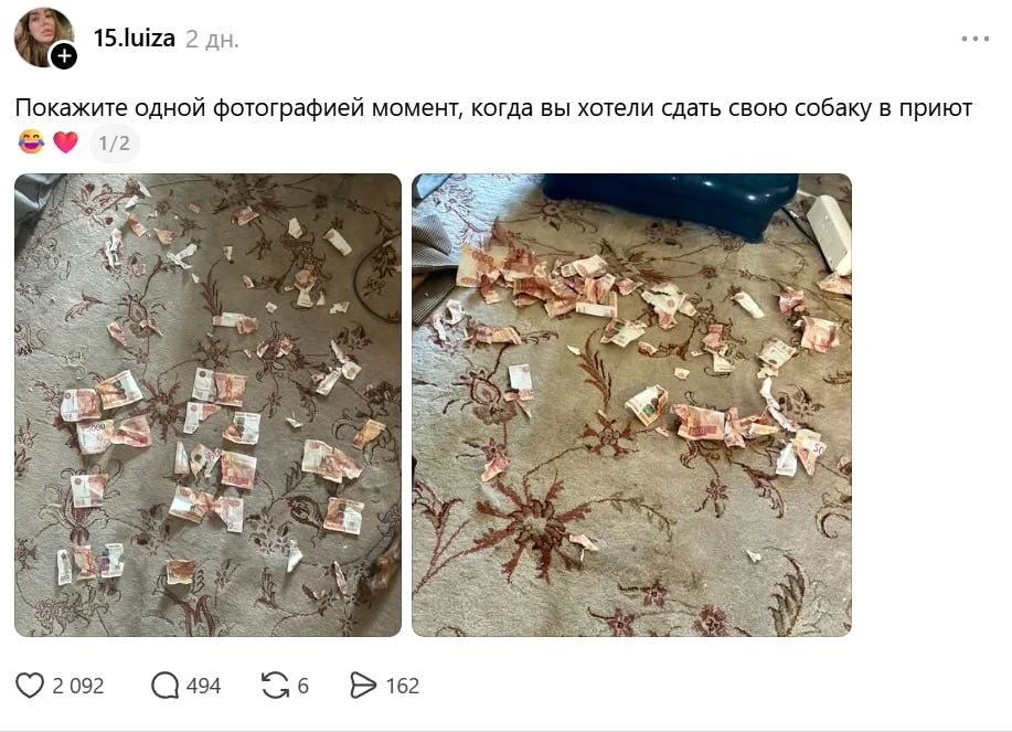 💚💚💚: в тредс завирусилась ветка, в которой хозяева  поделились, какие подарки им преподносили их 
