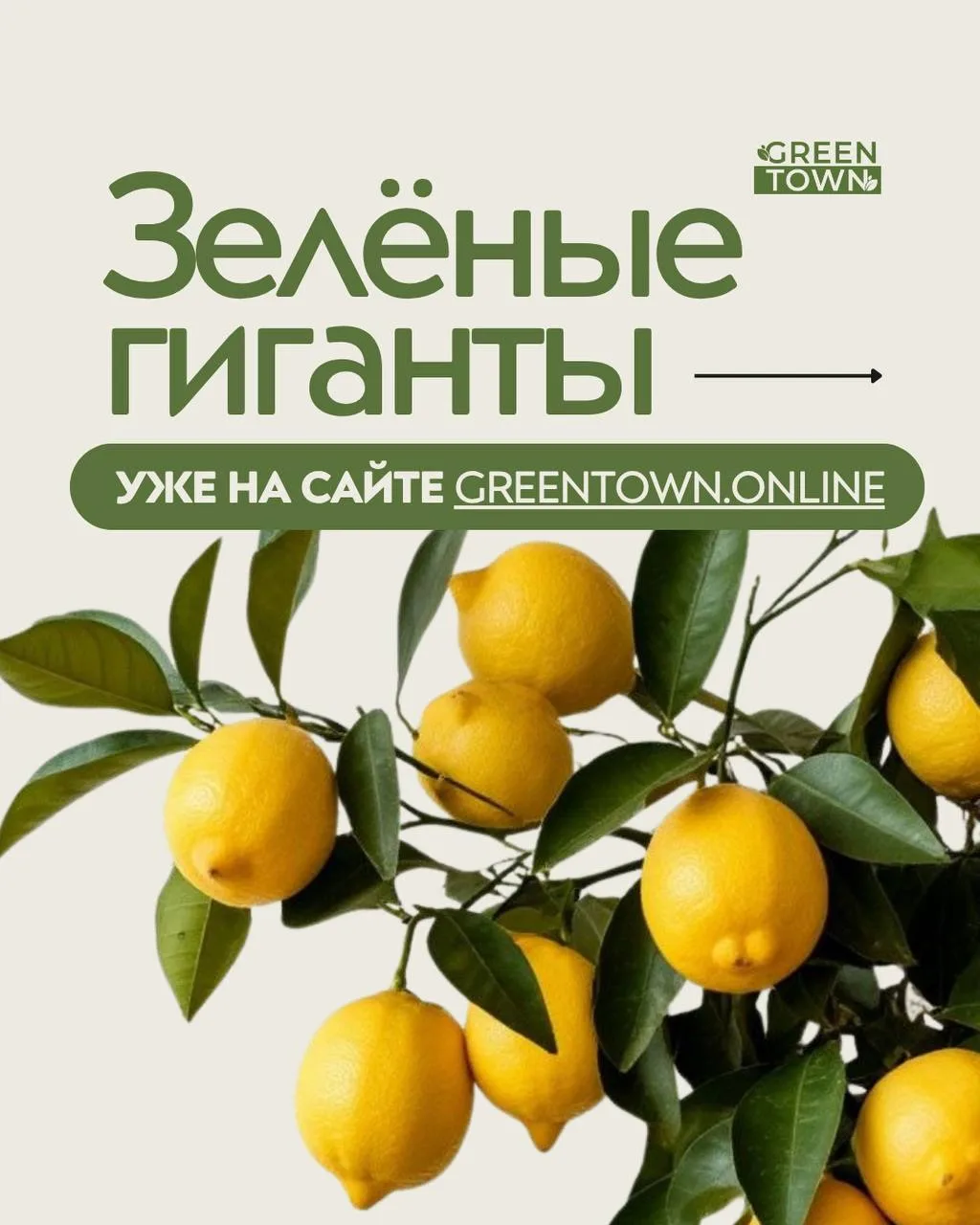 Зеленые гиганты уже на сайте 👀