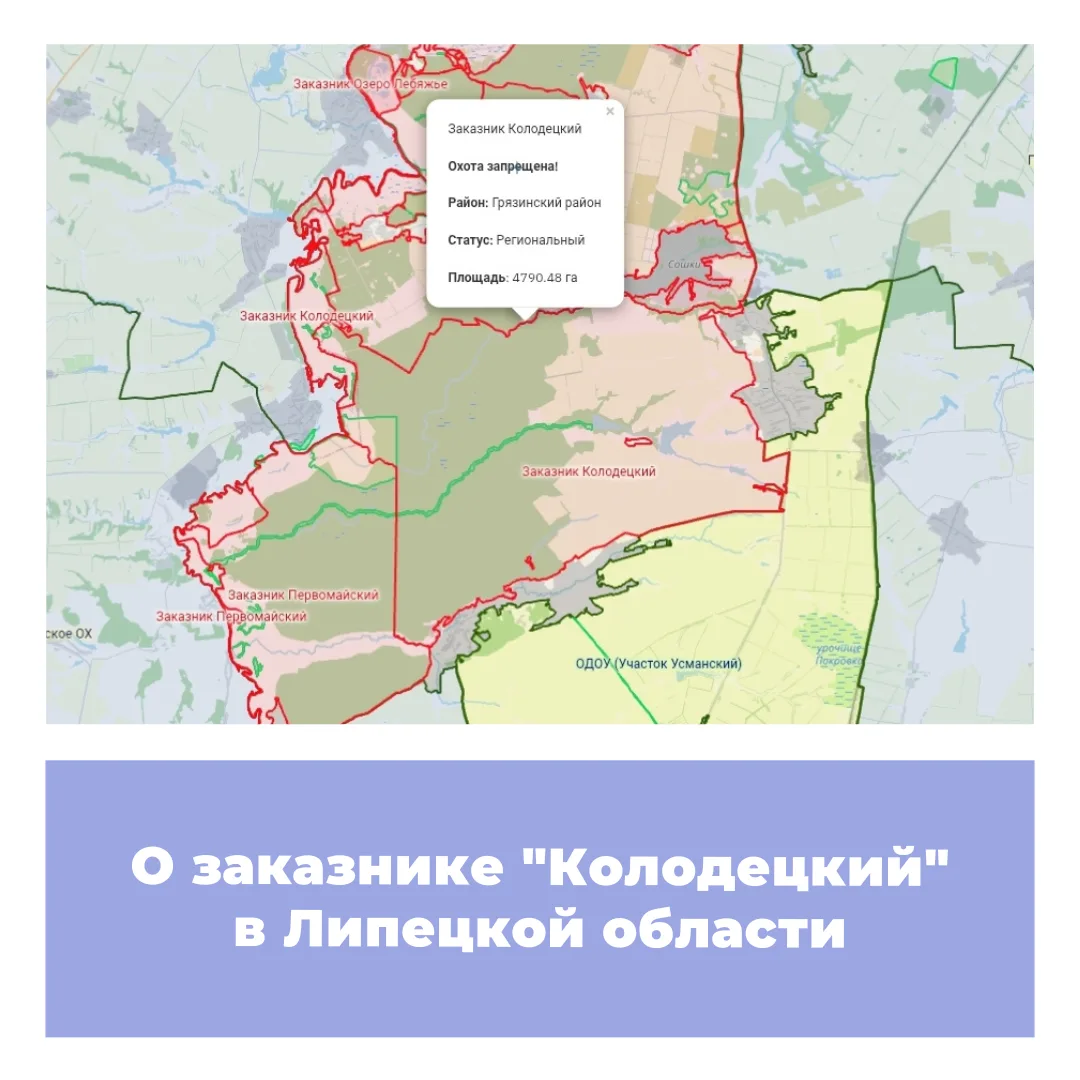 Государственный природный зоологический заказник регионального значения "Колодецкий" образован в 198