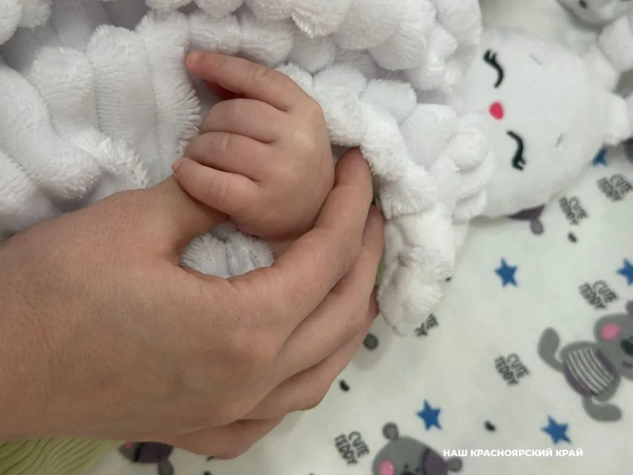 Названы самые популярные и редкие имена новорожденных в Красноярском крае