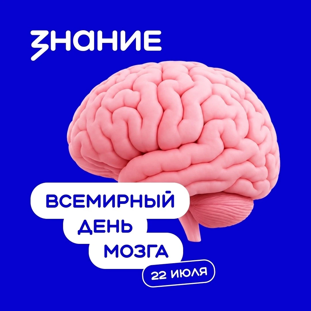 Всемирный день мозга ежегодно проходит 22 июля. Дата выбрана неслучайно: именно в этот ...