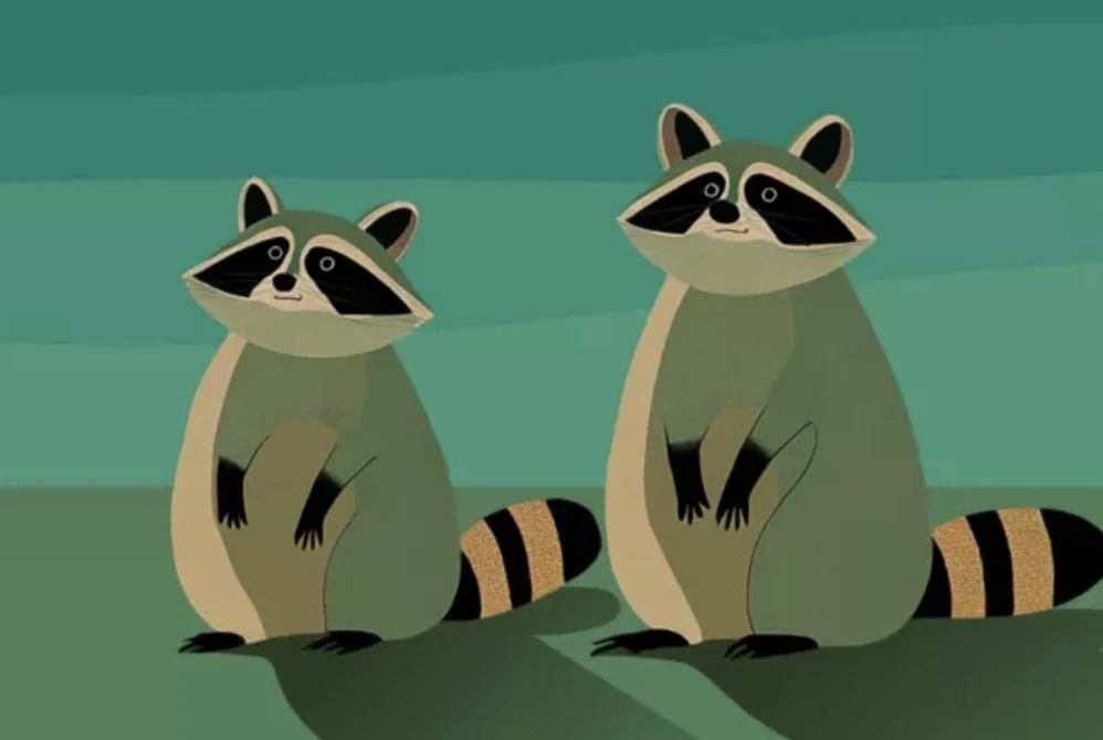 🦝Московский зоопарк и «Активный гражданин» открыли викторину о енотах  Участники смогут проверить св