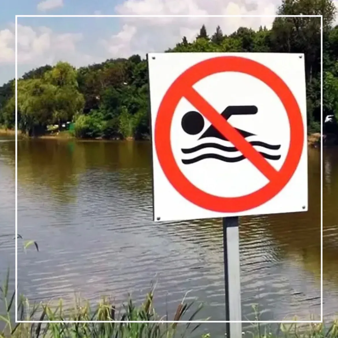 ⚡ Купание под запретом: как понять, что водоём опасен для здоровья