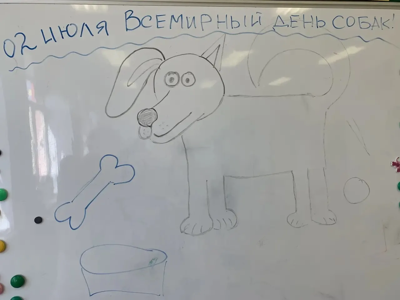 2 июля — Всемирный день собак! 🎉 День преданных друзей и мокрых носов! 🐕

Ребята средней группы от