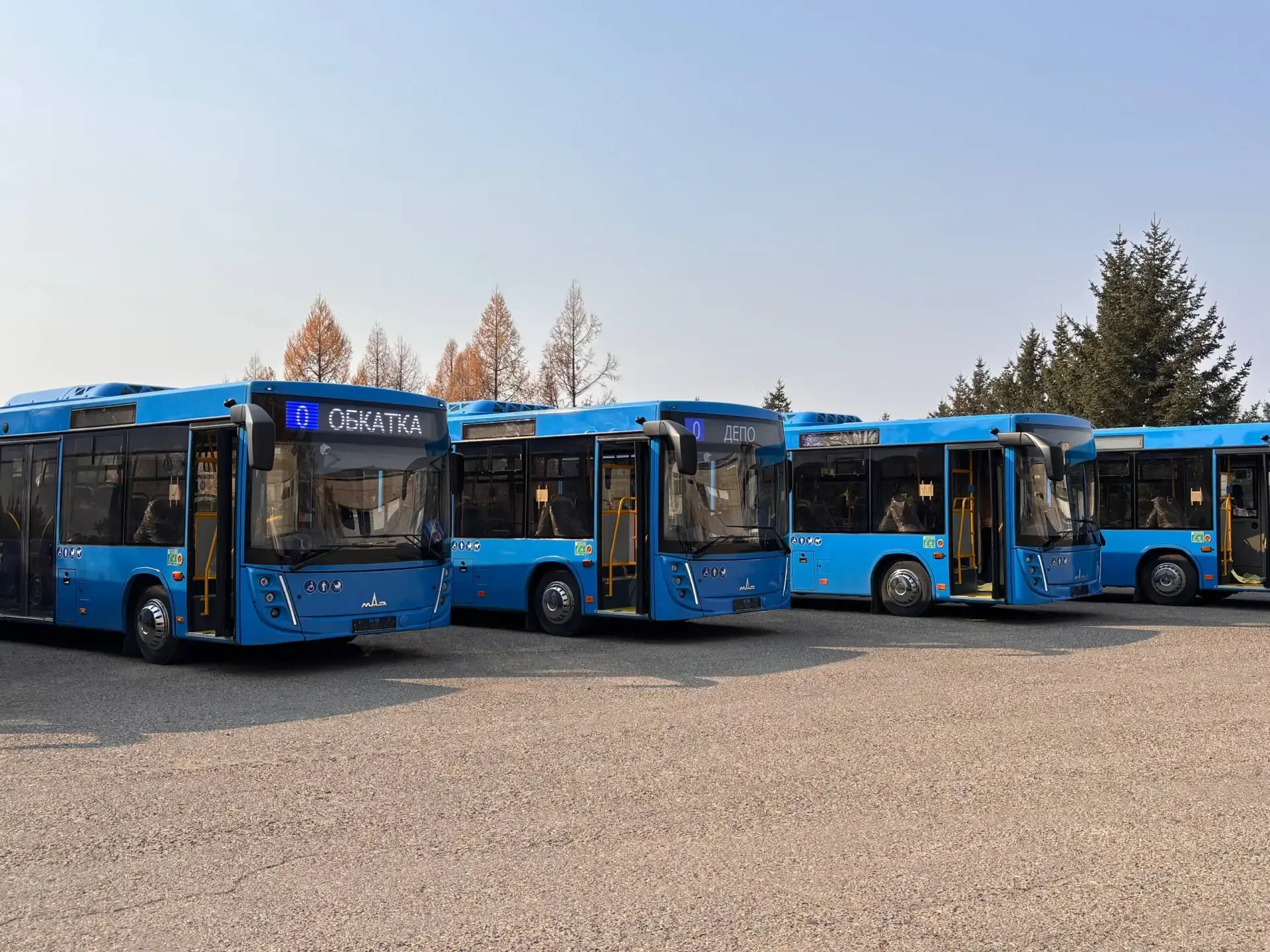 Правила использования абонемента на бесплатный проезд в автобусах муниципального пассажирского автот