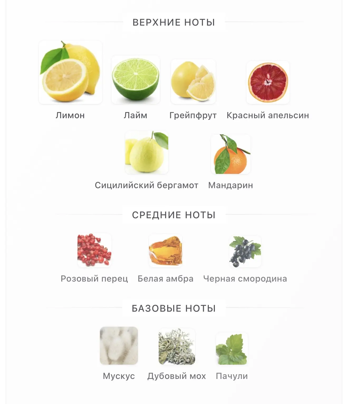 Свежий лайм 🍋‍🟩