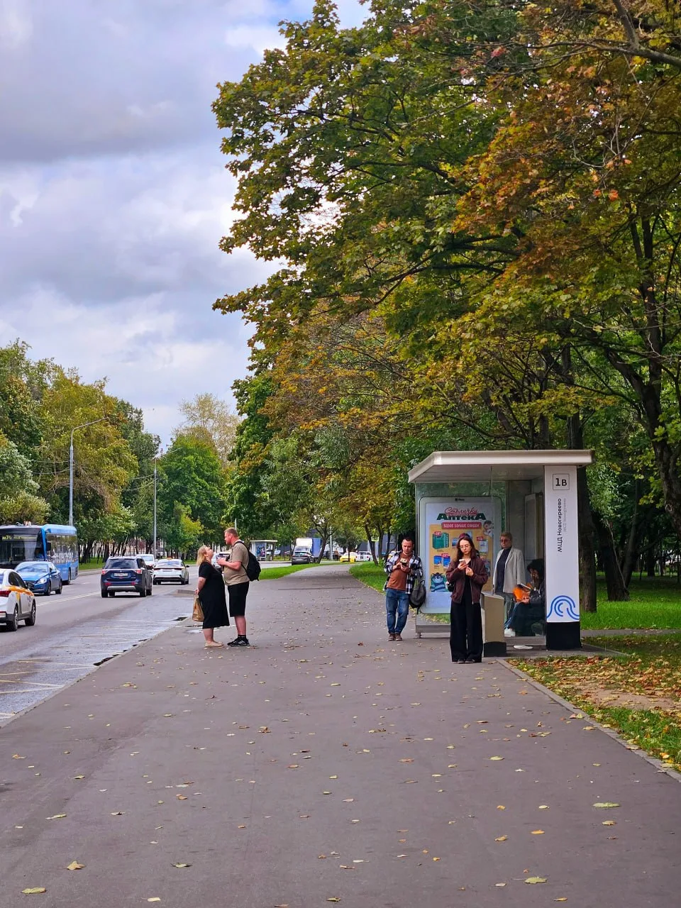 Осенняя обстановка на Кетчерской. Вы только гляньте, как всё пожелтело — и это только н...