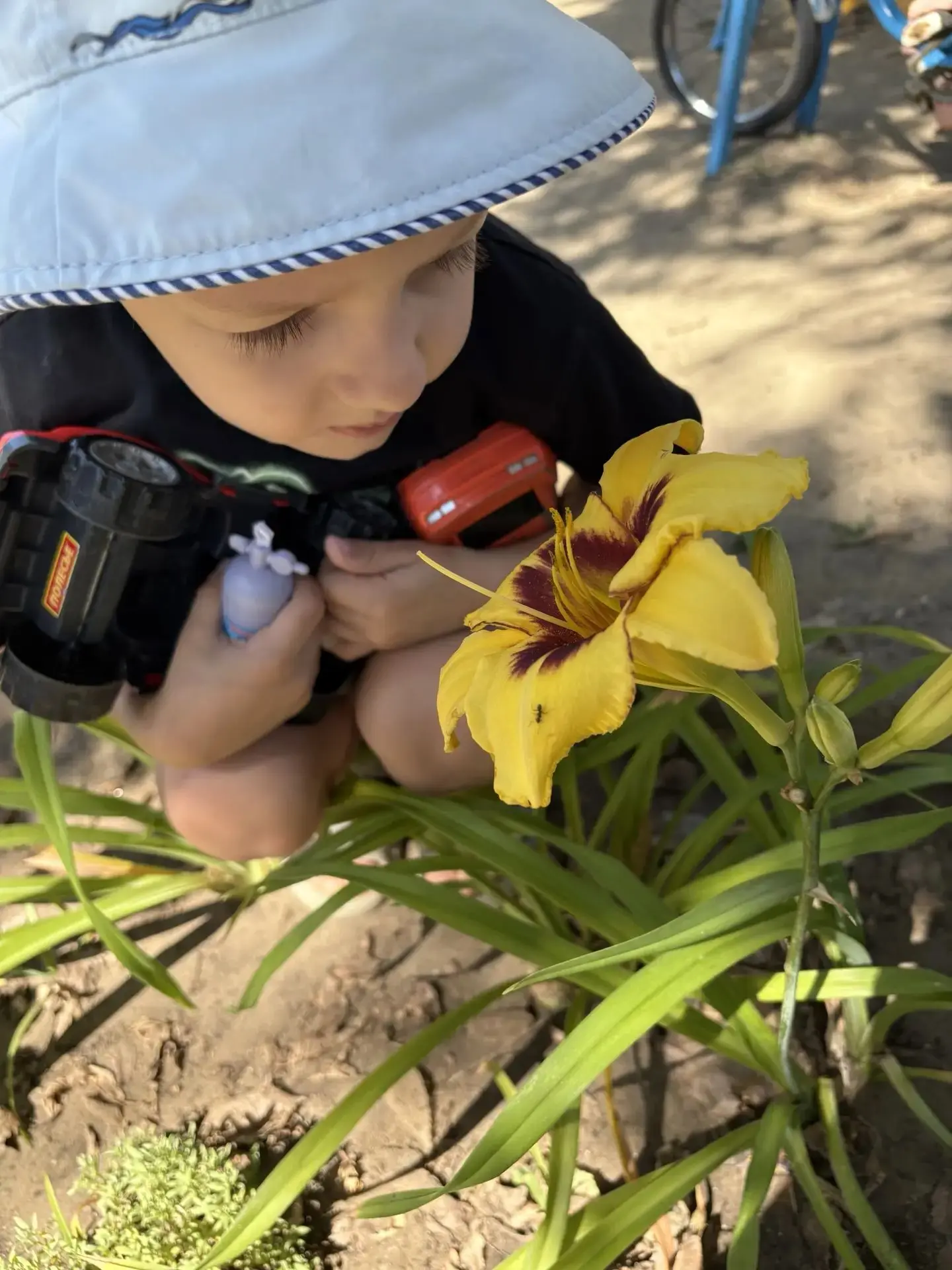 Мир глазами детей... Сегодня он был цветущим! 🌸