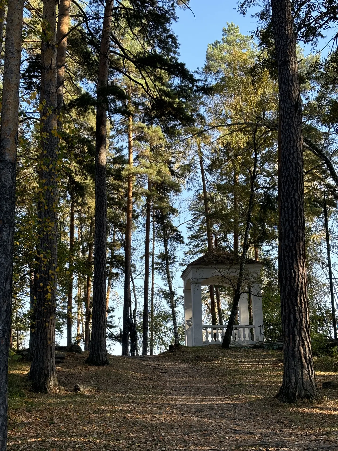 🌤Всем доброе утро и хорошего вторника!