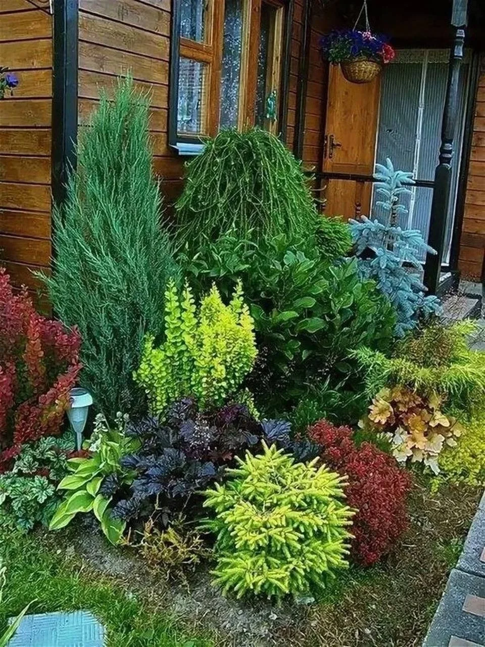 Хвойные клумбы красивы в любое время года 🌳🌲
