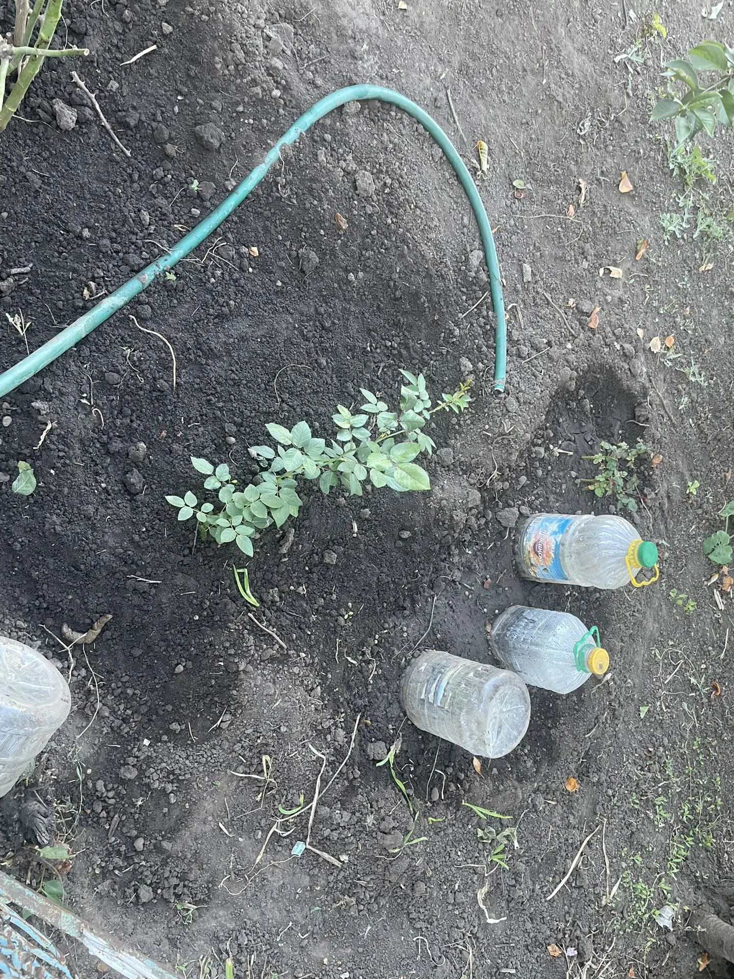 Доброго дня 🌼
