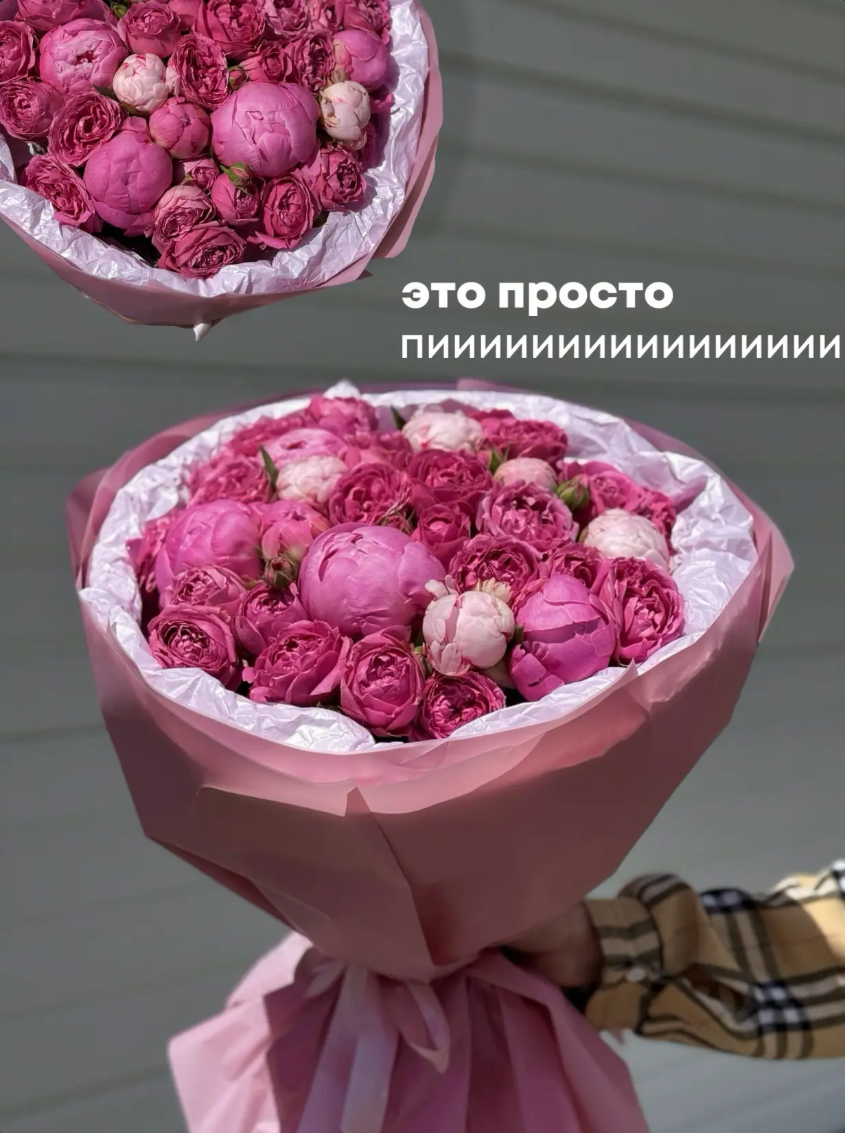 Много-много пиииииионов! 
в наличии и под заказ во всех филиалах
ФЛОРА ПАРК 🌸

Цена букетов: 4 650₽