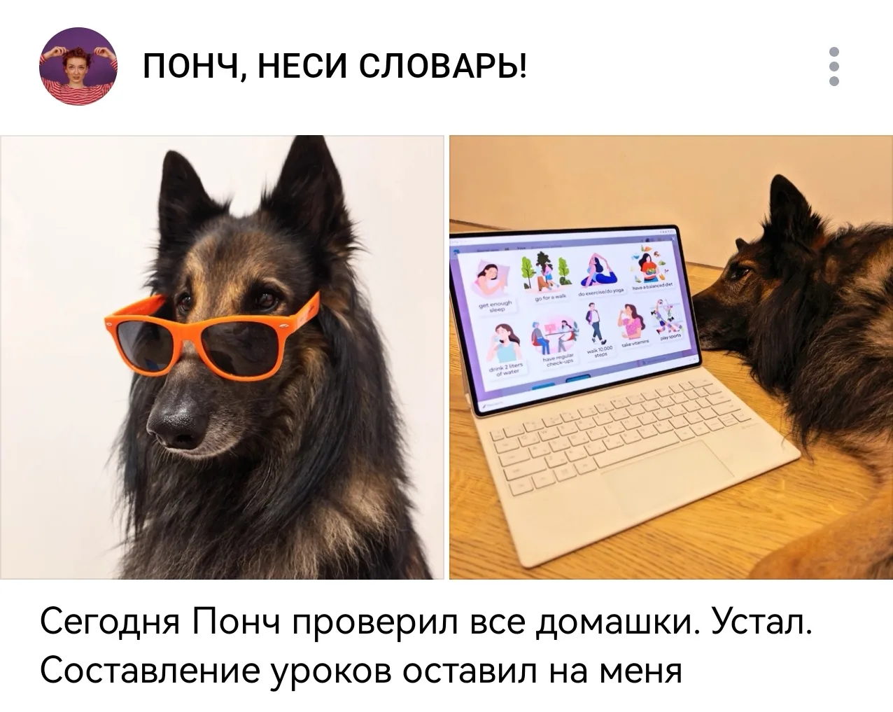 У Ани в блоге Понч сегодня проверил все домашки и очень устал