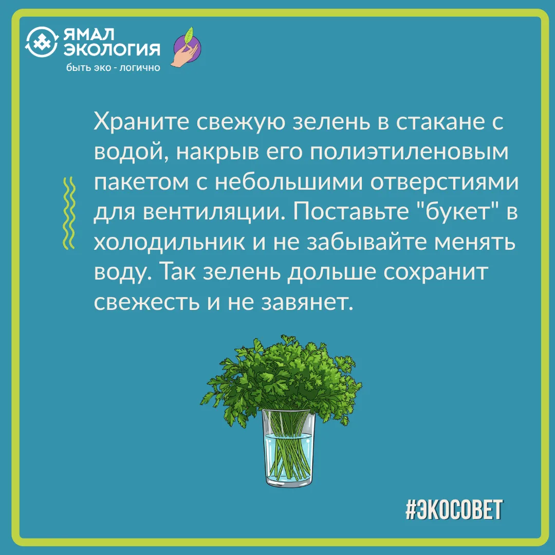Заморозить или высушить - тоже отличный способ 🥬

#Экосовет #ЯмалЭкология #ЯмалЭкоДом