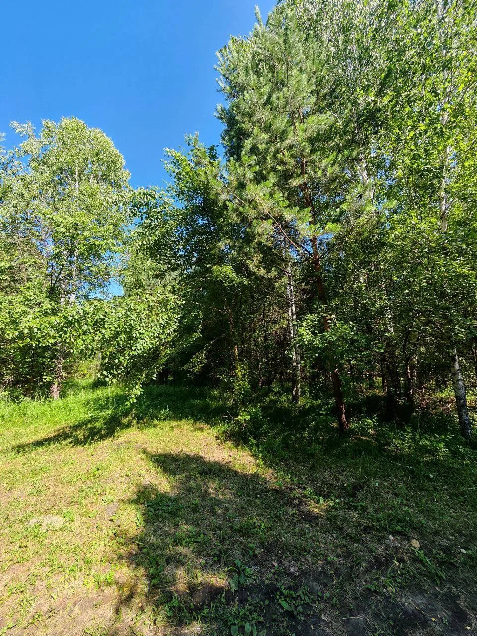 👩‍💻ЗЕМЛИ НАСЕЛЕННЫХ ПУНКТОВ ИЖС  🏠АНОС