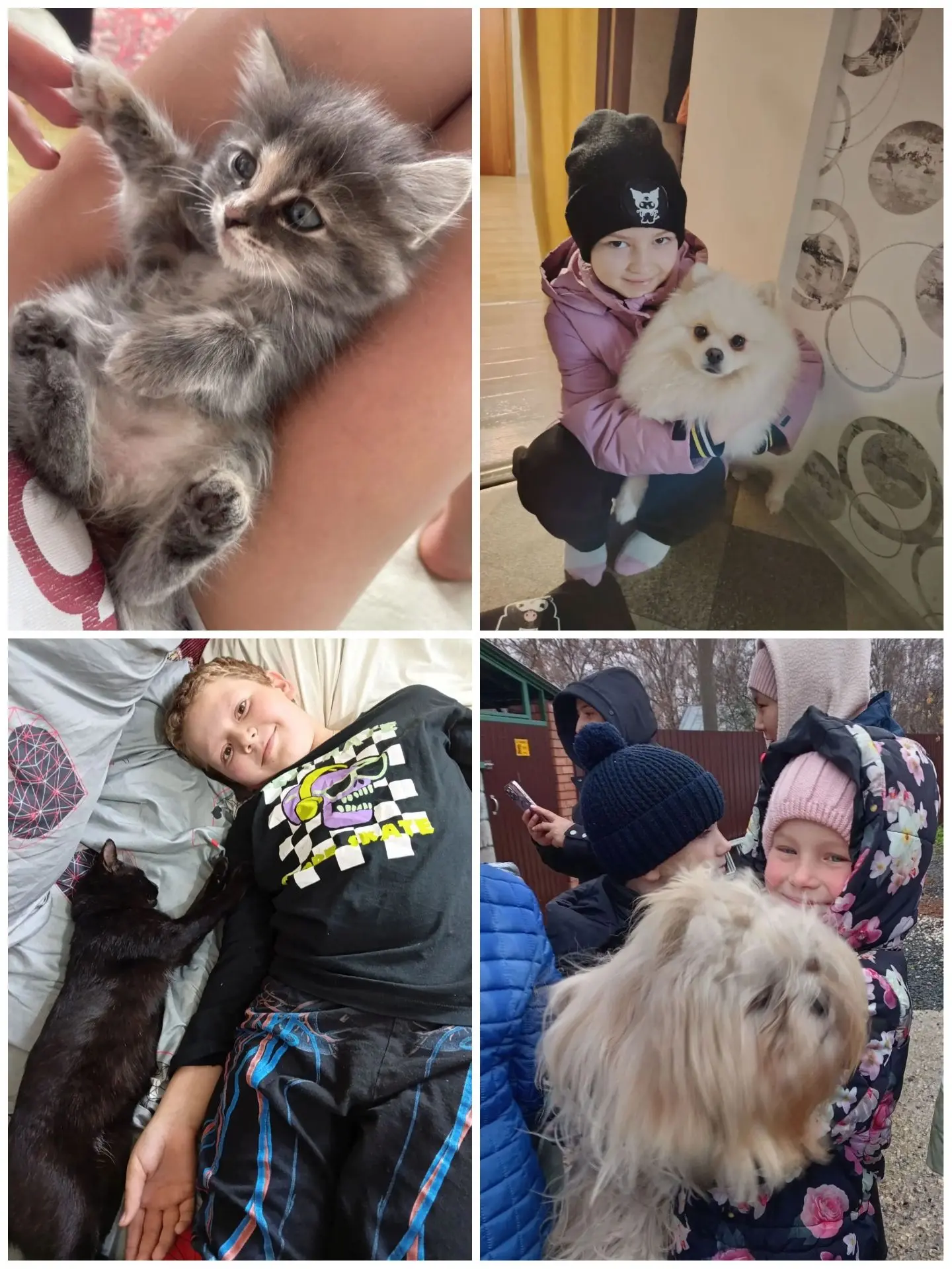 🗓 4 октября - день защиты животных 🐾