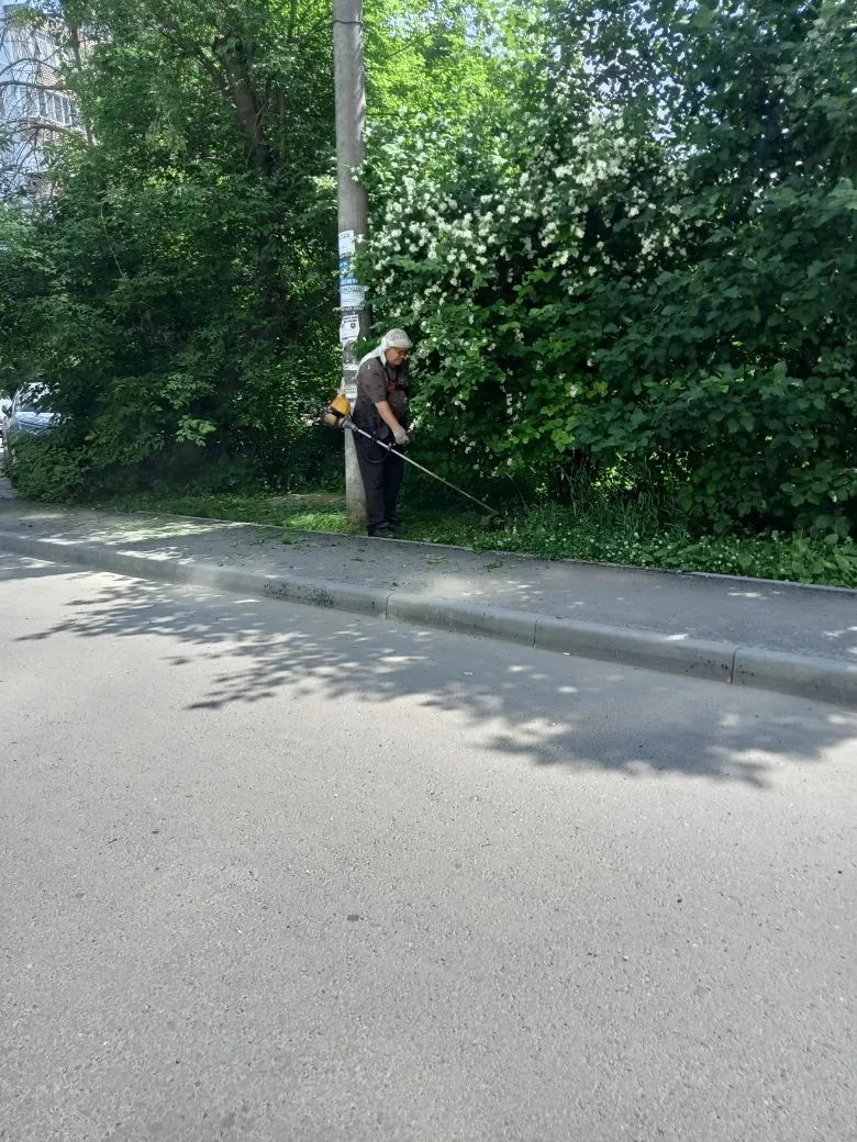 Привели в порядок газоны. ✂️🌱