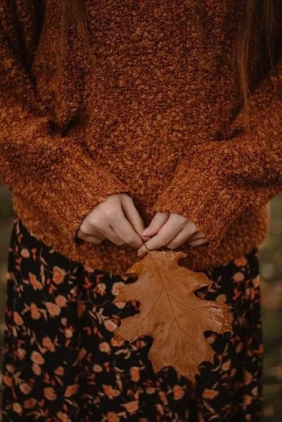 ㅤㅤ⊹──⊱❈⊰──⊹