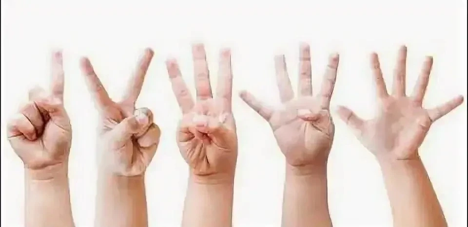 Друзья продолжаем воскресным вечером
нашу эстафету: 
             дай 5⃣ 🖐

Делимся своими  «ладошк