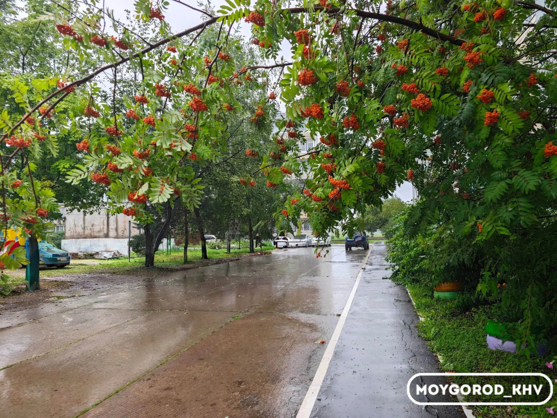 #moygorod_khvпогода | 🌧