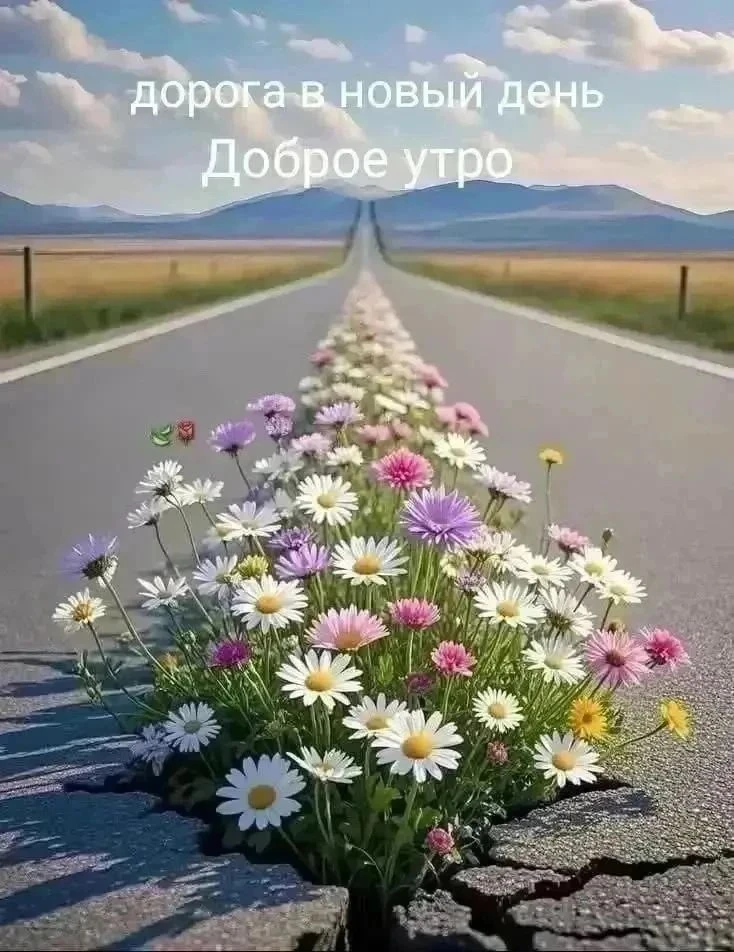 Карусель конференций продолжается. Всем продуктивного дня🫶