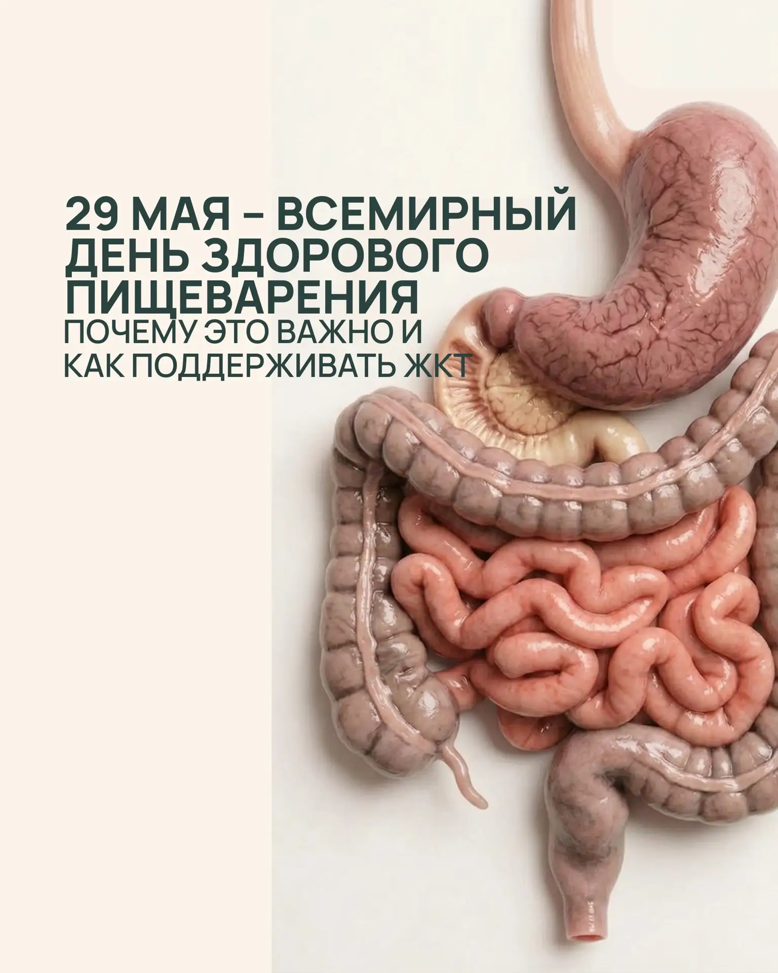 🌍 29 мая – Всемирный день здорового пищеварения