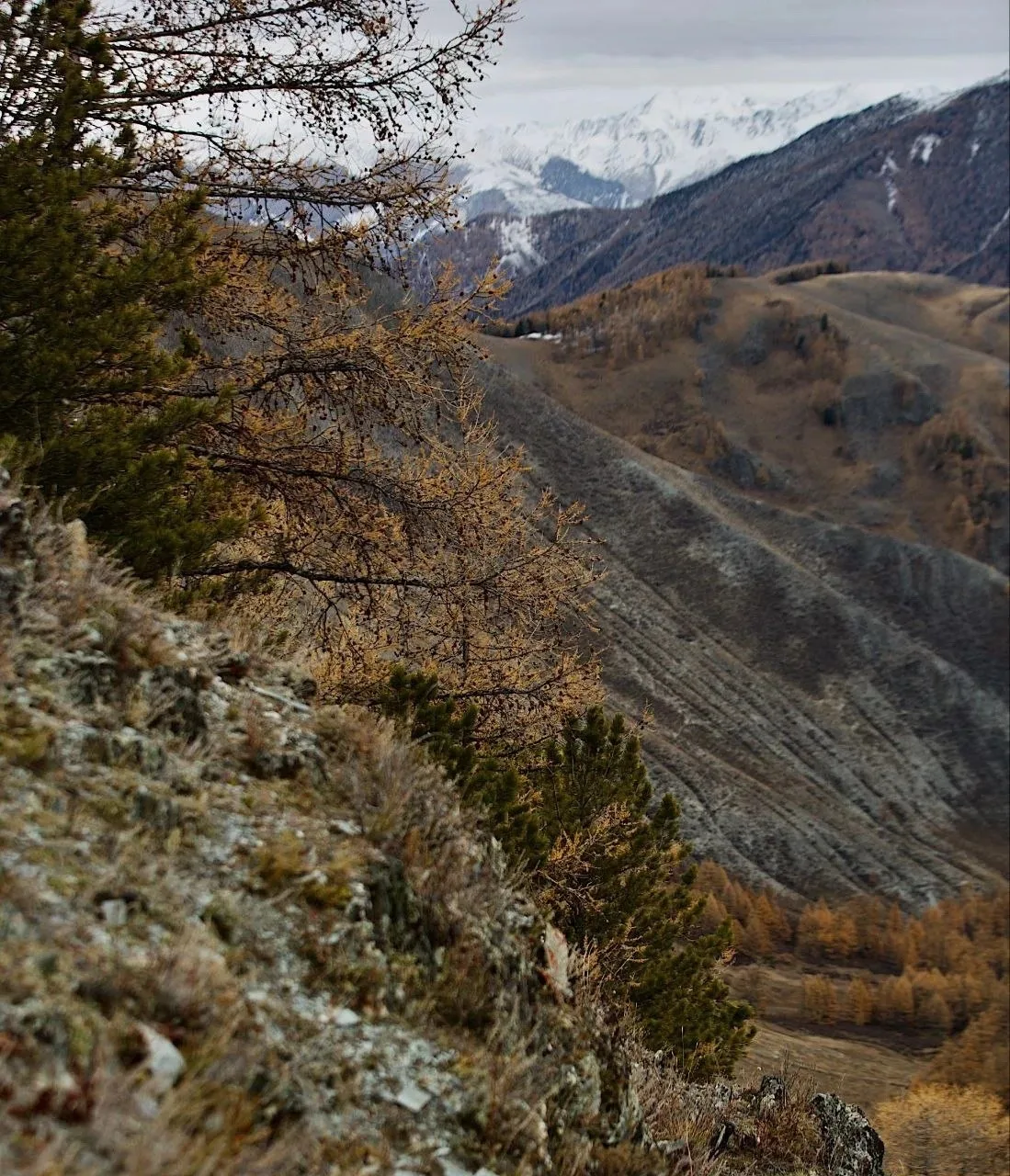 В Сайлюгемском нацпарке наступил октябрь 😍🍁
