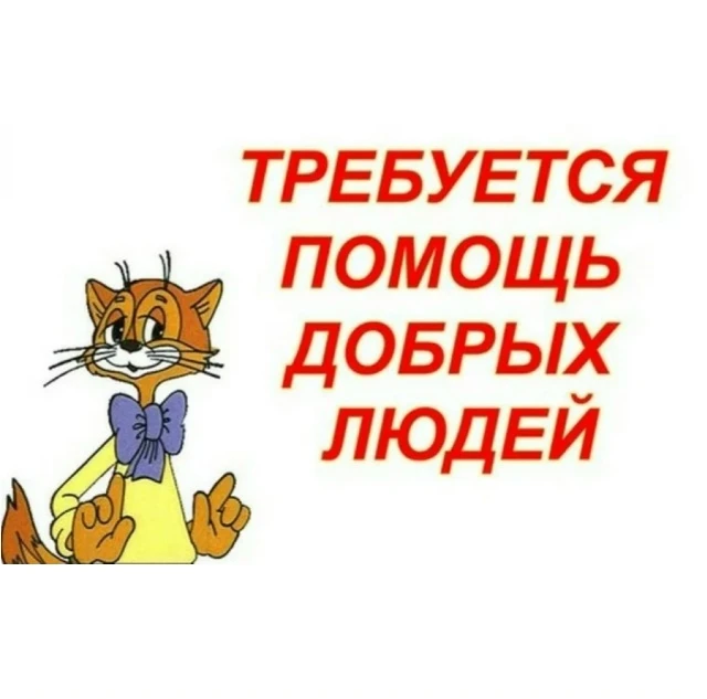Дорогие подписчики, всем привет, я админ ЧП 45 регион. Обращаюсь к вам с большой просьб...