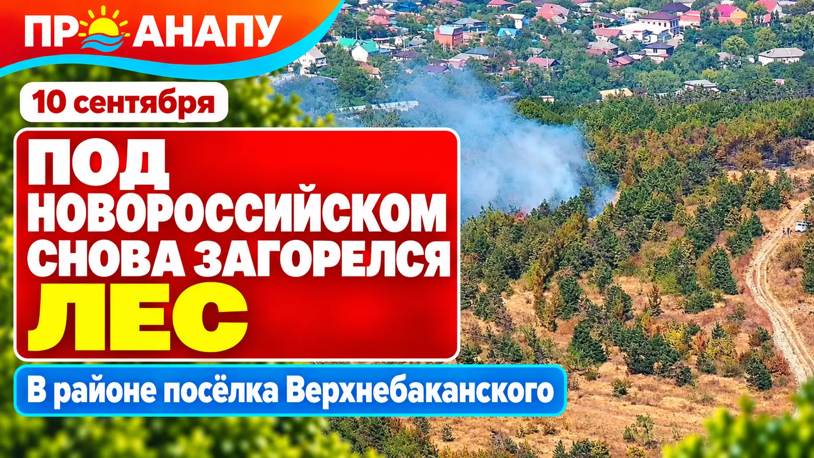 Под Новороссийском снова загорелся лес