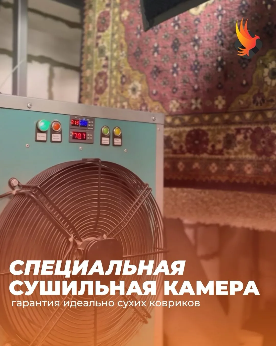 Вы доверяете нам свои коврики — мы возвращаем их вам чистыми, свежими и полностью сухими ✨