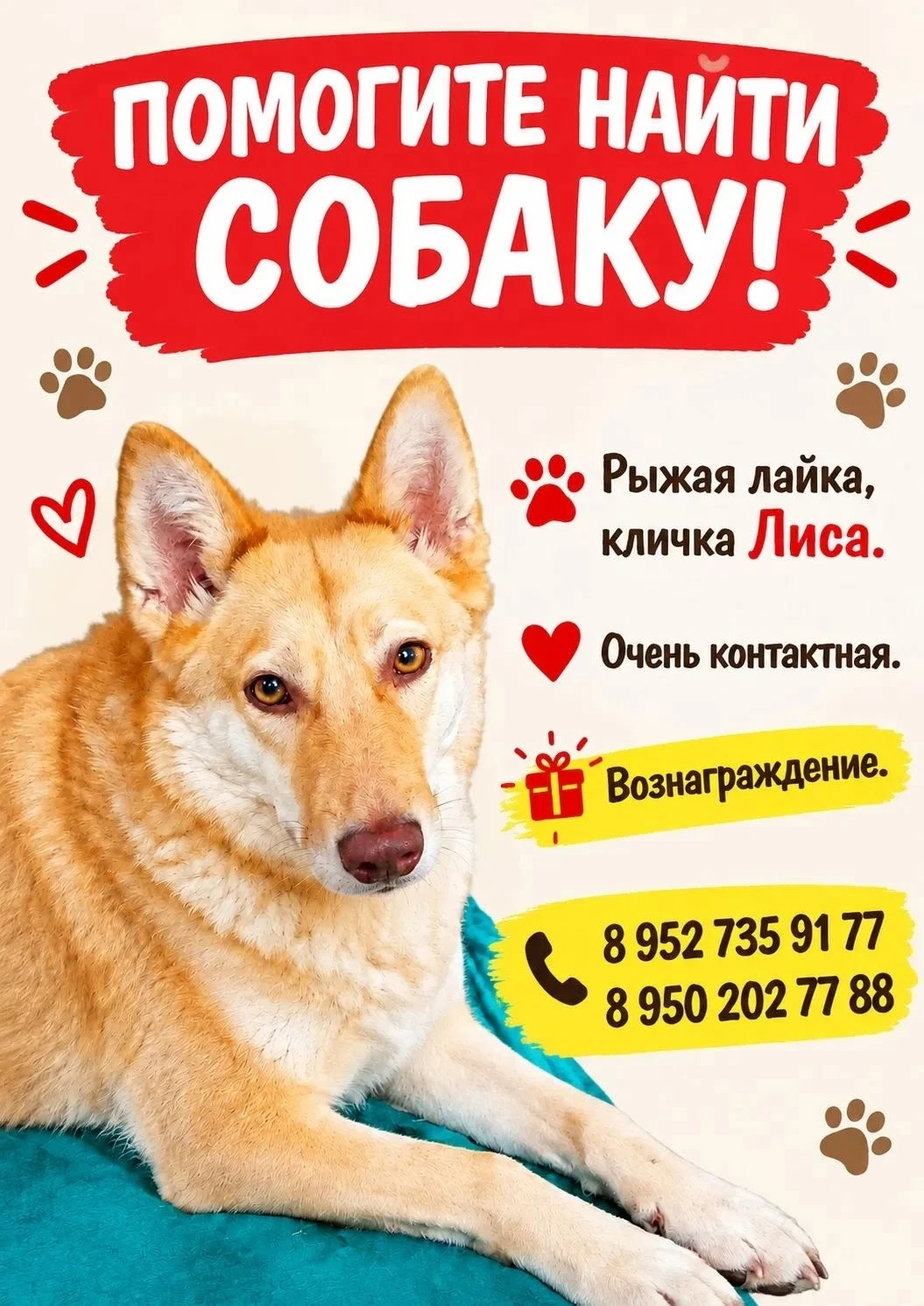 SOS! Каждая машина — шанс для Лисы! 🚨
