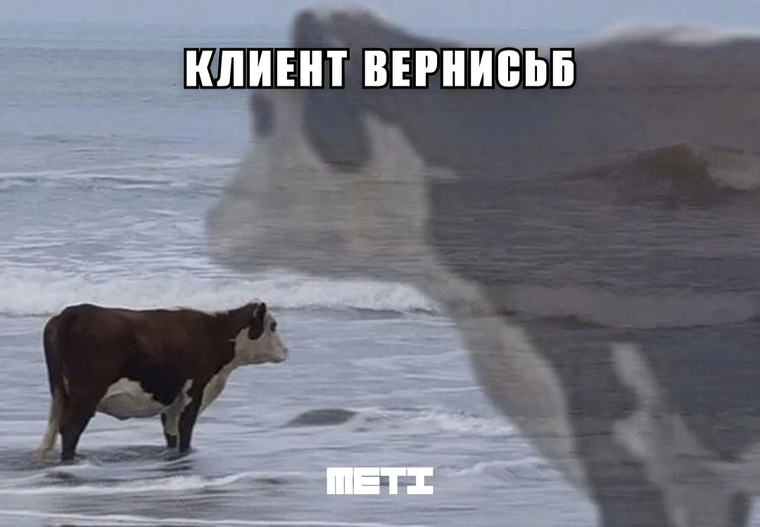 ⏳ 23,6 месяца – средний срок, который ключевой клиент остаётся с METI