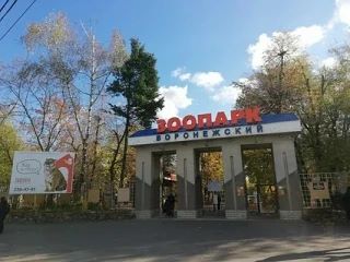 Про Воронежский зоопарк снимут интересный документальный фильм