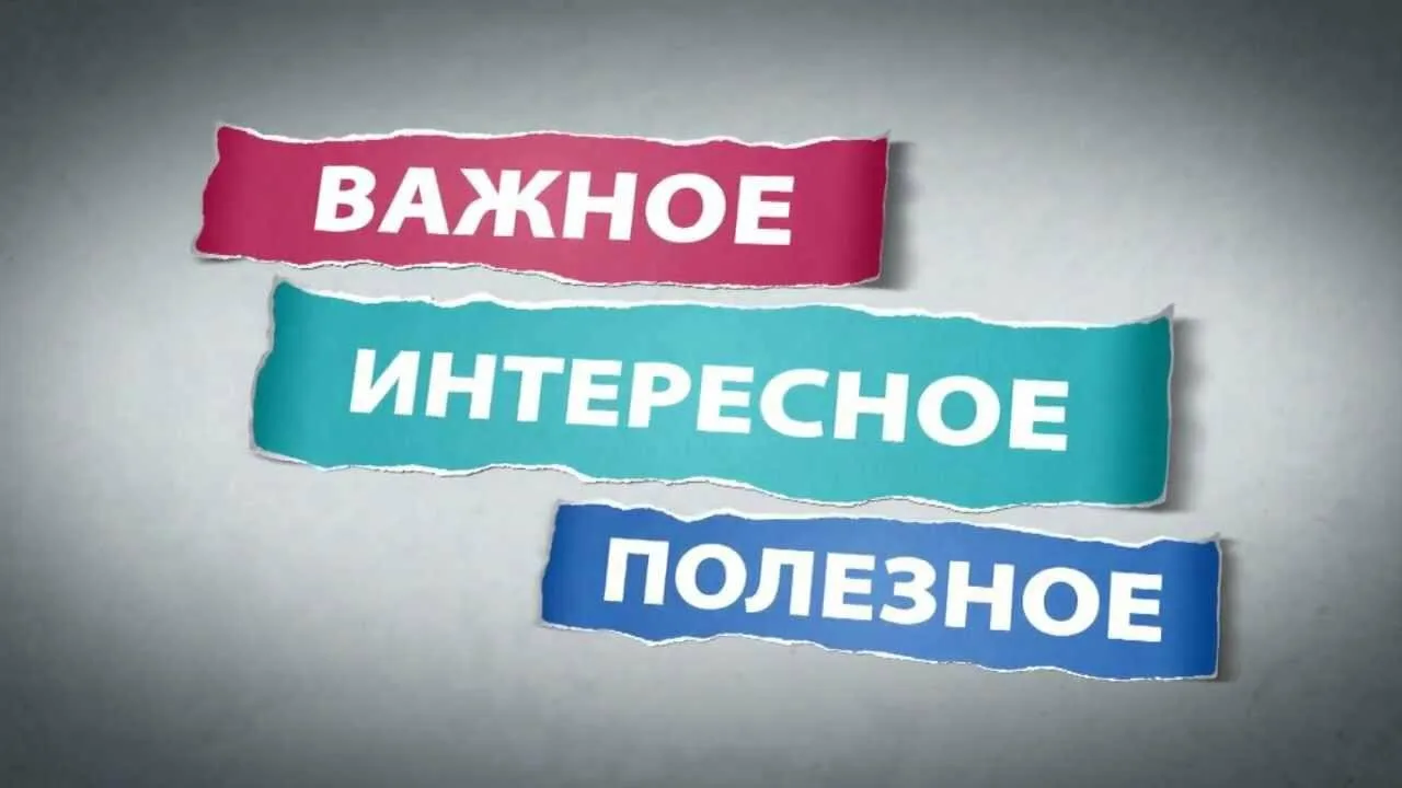 📮В соответствии с положениями Порядка ГИА-11 выпускники текущего года имеют право пере...