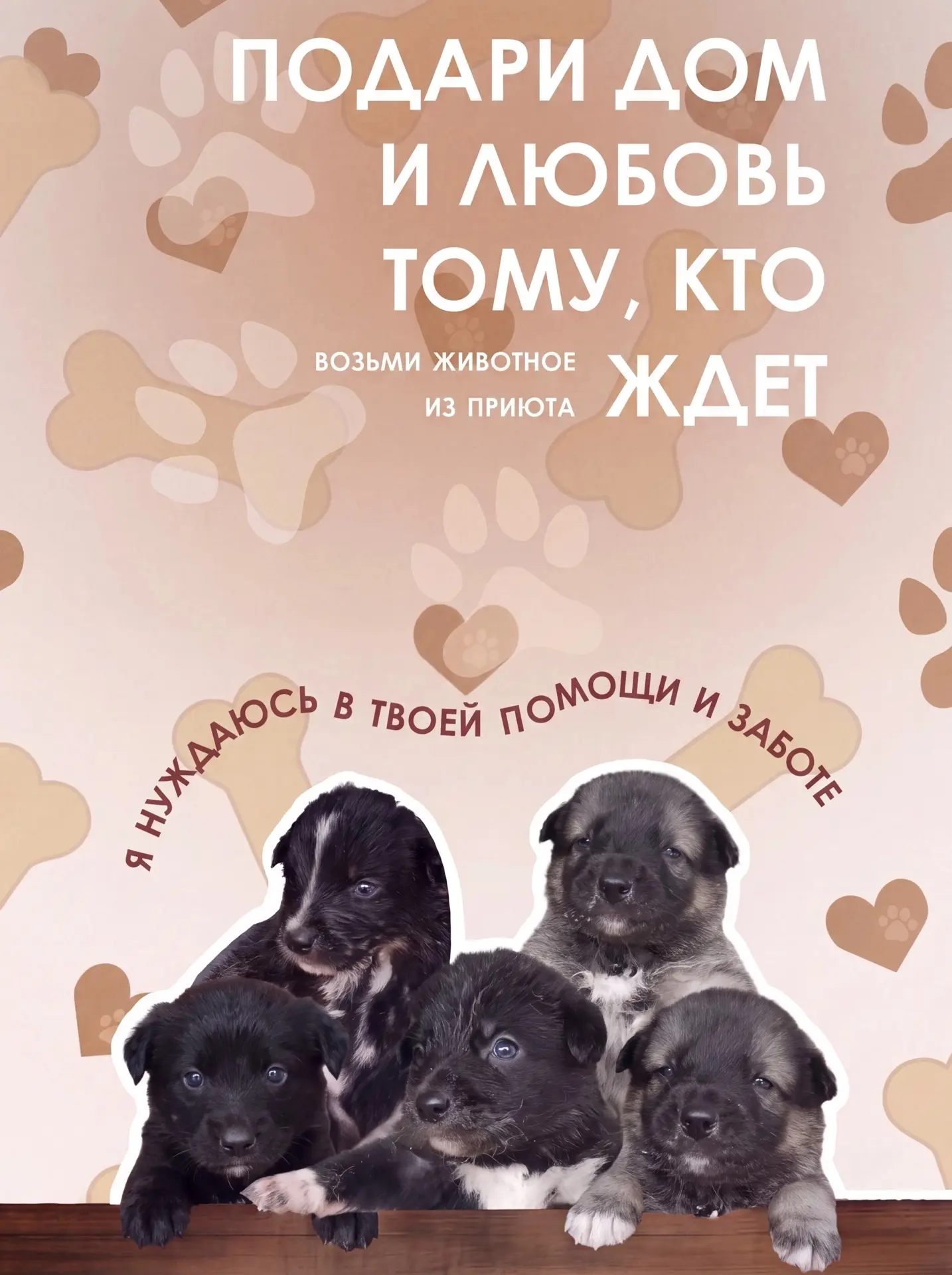 🐾 Им очень нужен дом 🐾