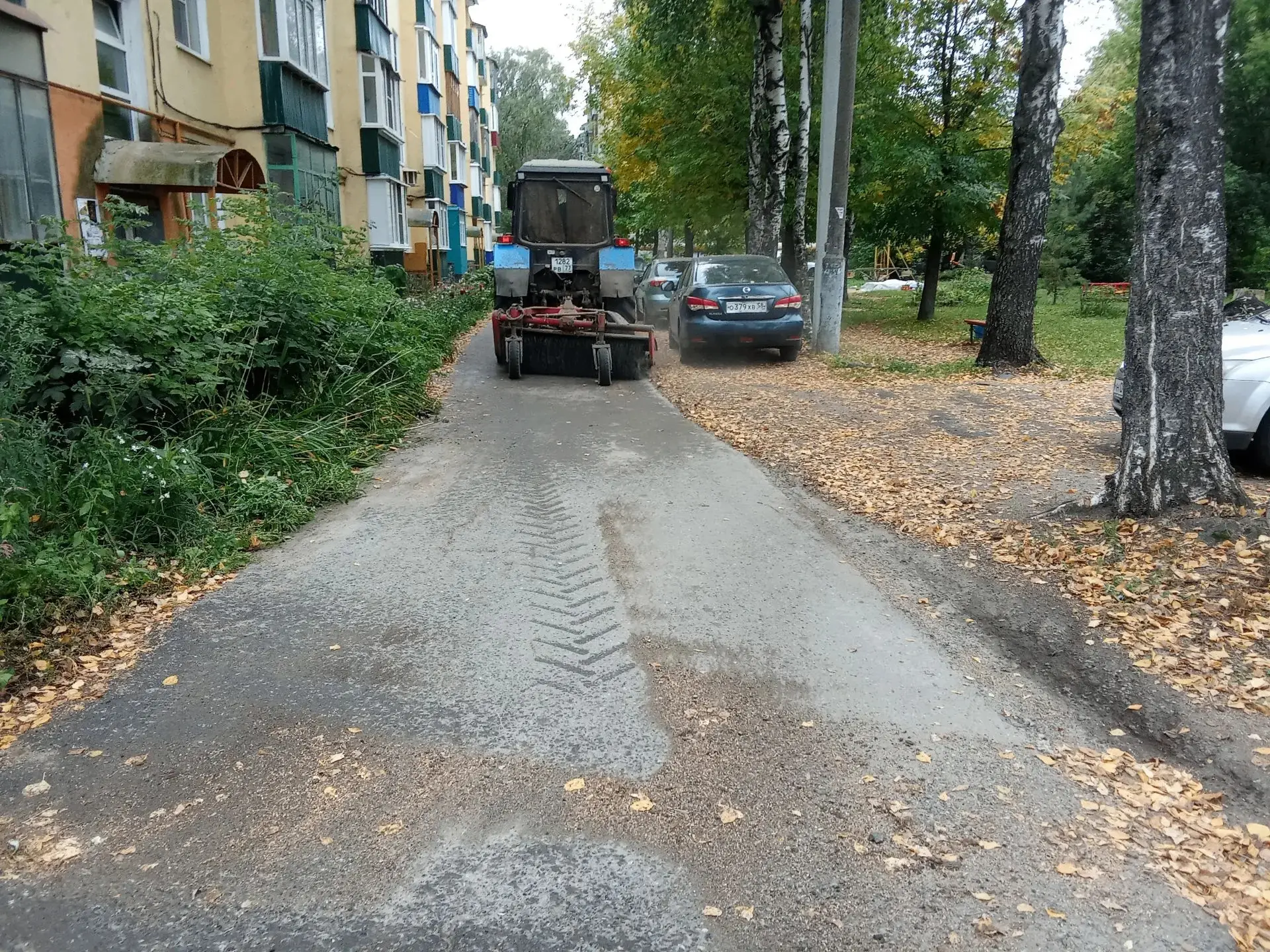 Легкой и продуктивной недели вам! 🍀