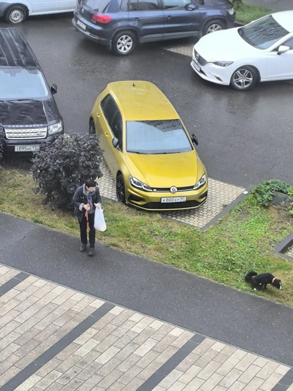 3 упаковки высыпали голубям. Шведский стол😡у них по утрам. Пожалуйста, не кормите голу...
