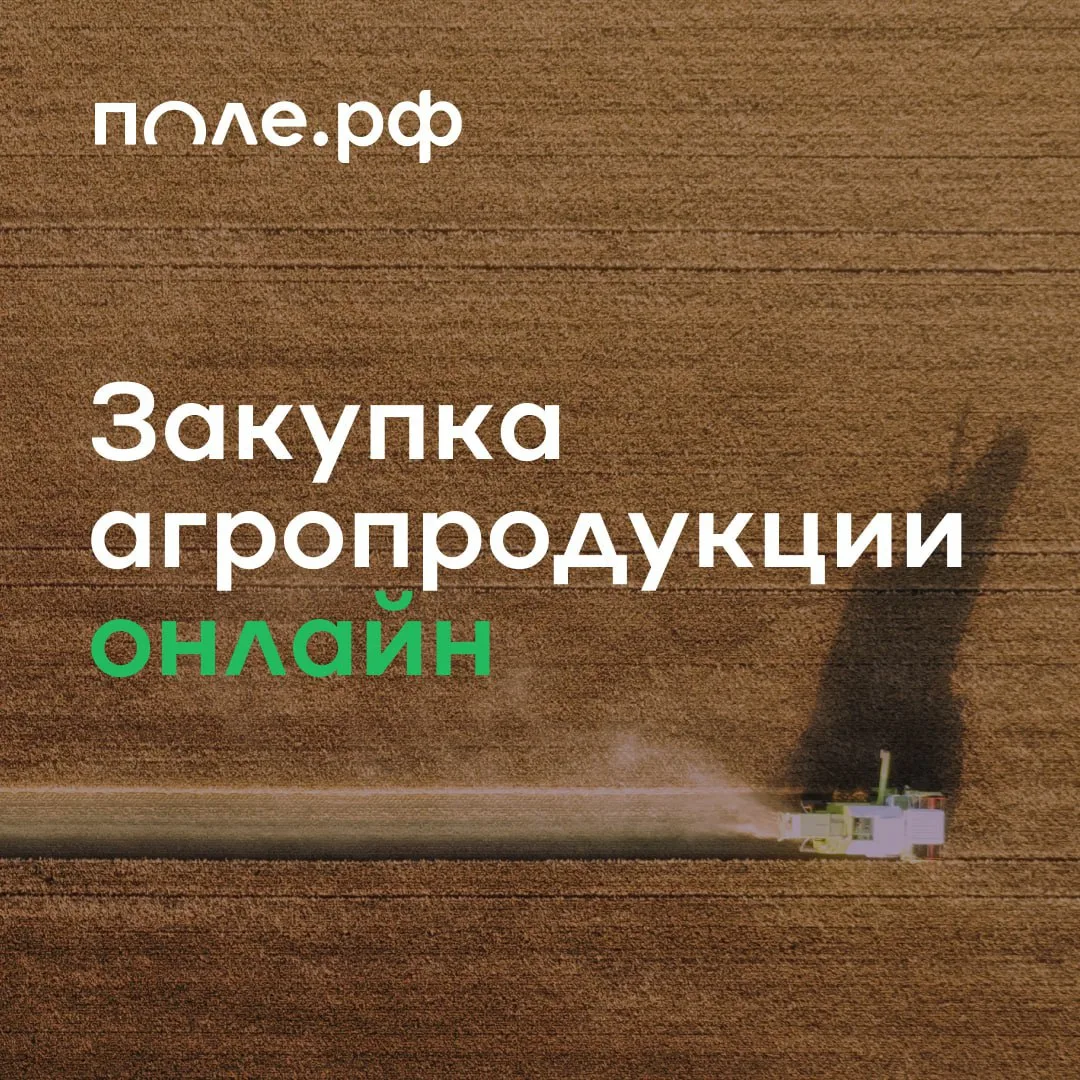 ⚡️ Ведущие агрохолдинги и фермерские хозяйства продают урожай на Поле.РФ!