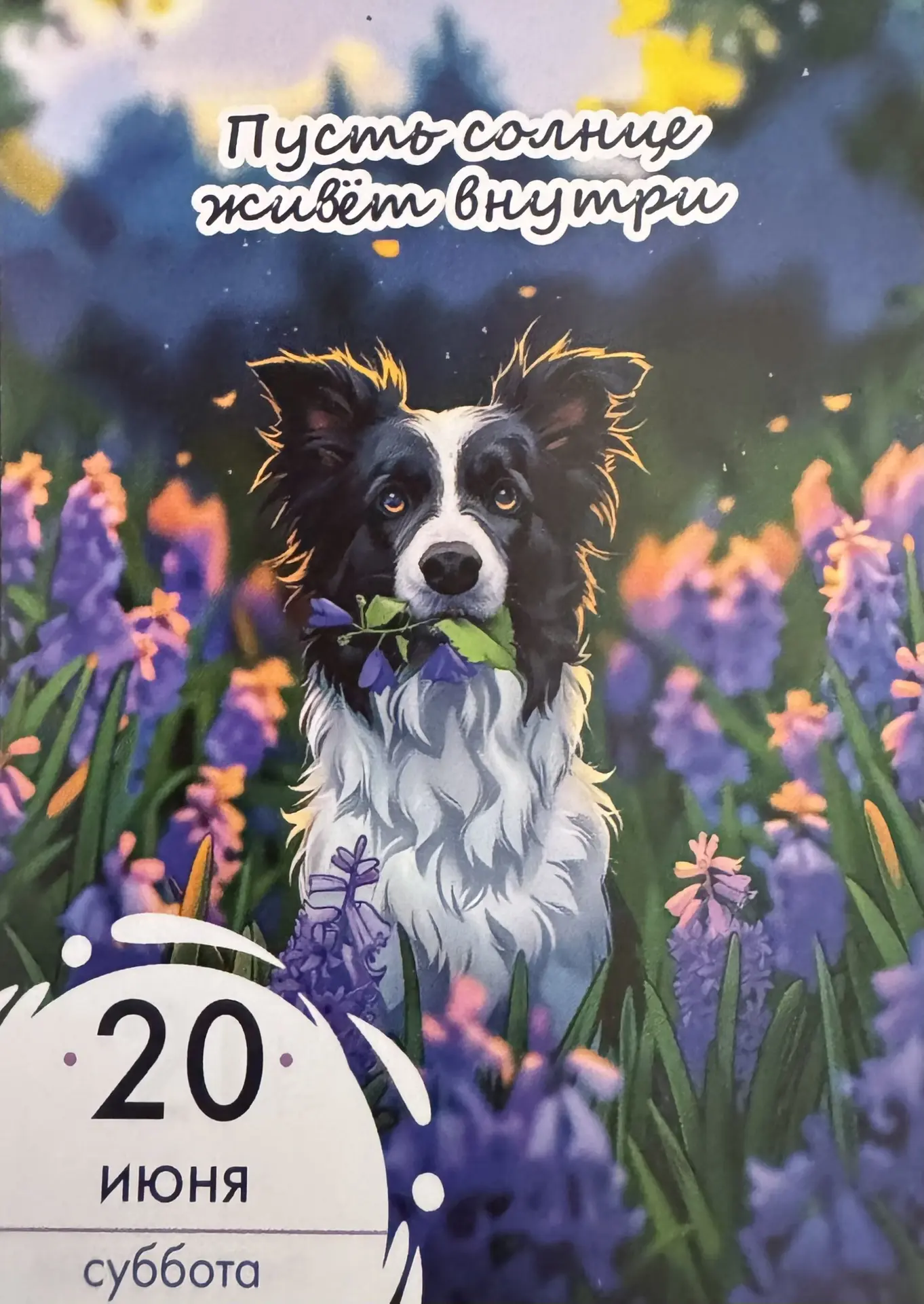 Прогноз на 20 июня 2026 1️⃣8️⃣

Цвет: 🤍🩷❤️

🕊️Особенно благоприятный день для родившихся 4,13,22,