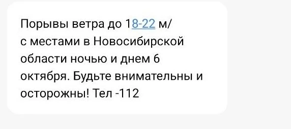💨 Штормовой ветер ожидается в Новосибирской области 6 октября. В ближайшие дни в регио...