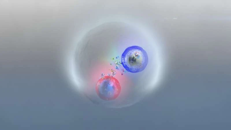 Физики CERN получили независимое подтверждение существования мимолетного топония