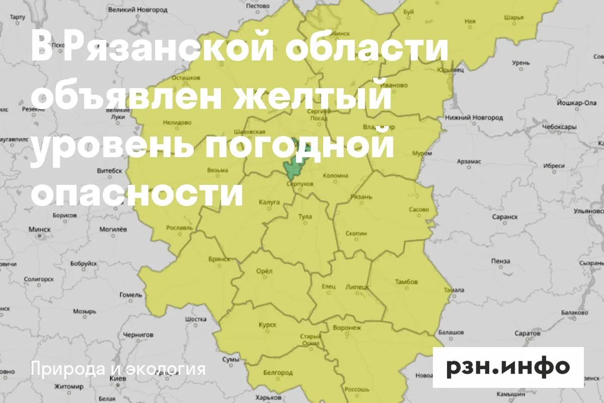 В Рязанской области объявлен желтый уровень погодной опасности
Метеопредупреждение объявлено из-за г