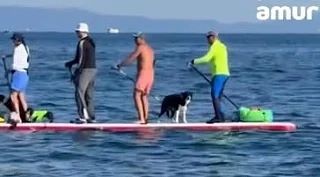 🛶 В Приморье проплыли 50 км на огромном сапе с собаками