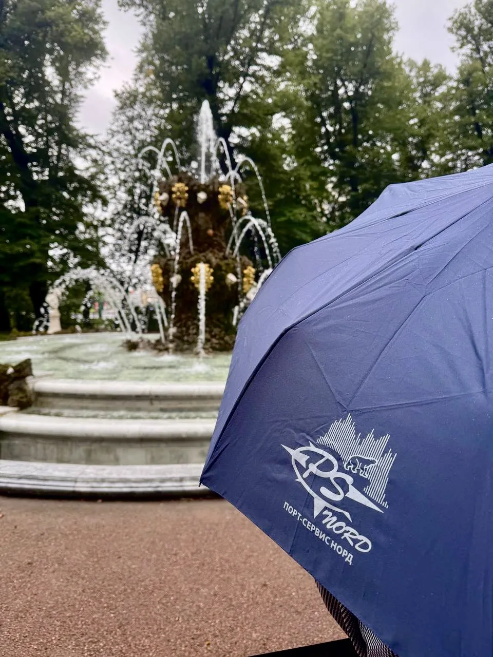 👋🏻 Привет из летнего сада в Санкт-Петербурге!