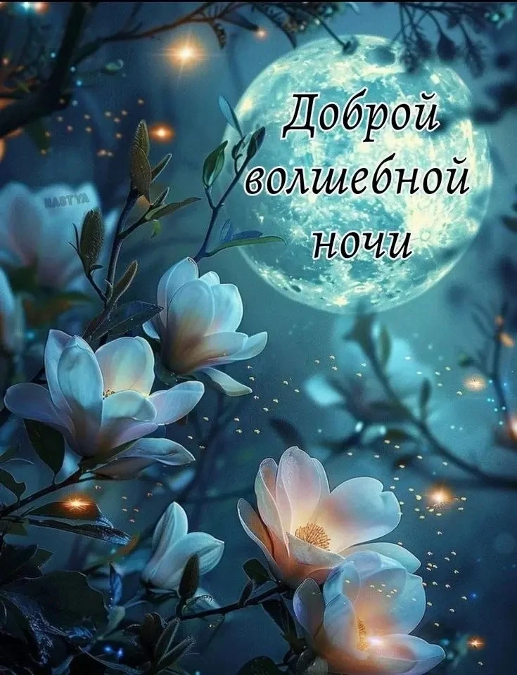 🌺ОТКРЫТКИ И ПОЗДРАВЛЕНИЯ 🌺