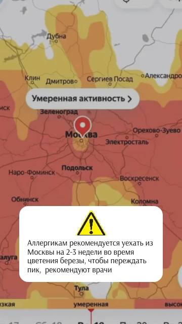 Врачи всё чаще рекомендуют аллергикам покидать мегаполисы на 2-3 недели в разгар цветения березы . П