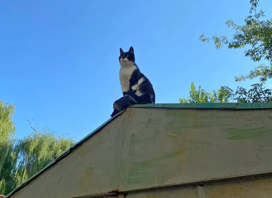 ⛅Экватор рабочей недели еще покажет свой капризный характер, но уже к выходным в регион наконец-то в