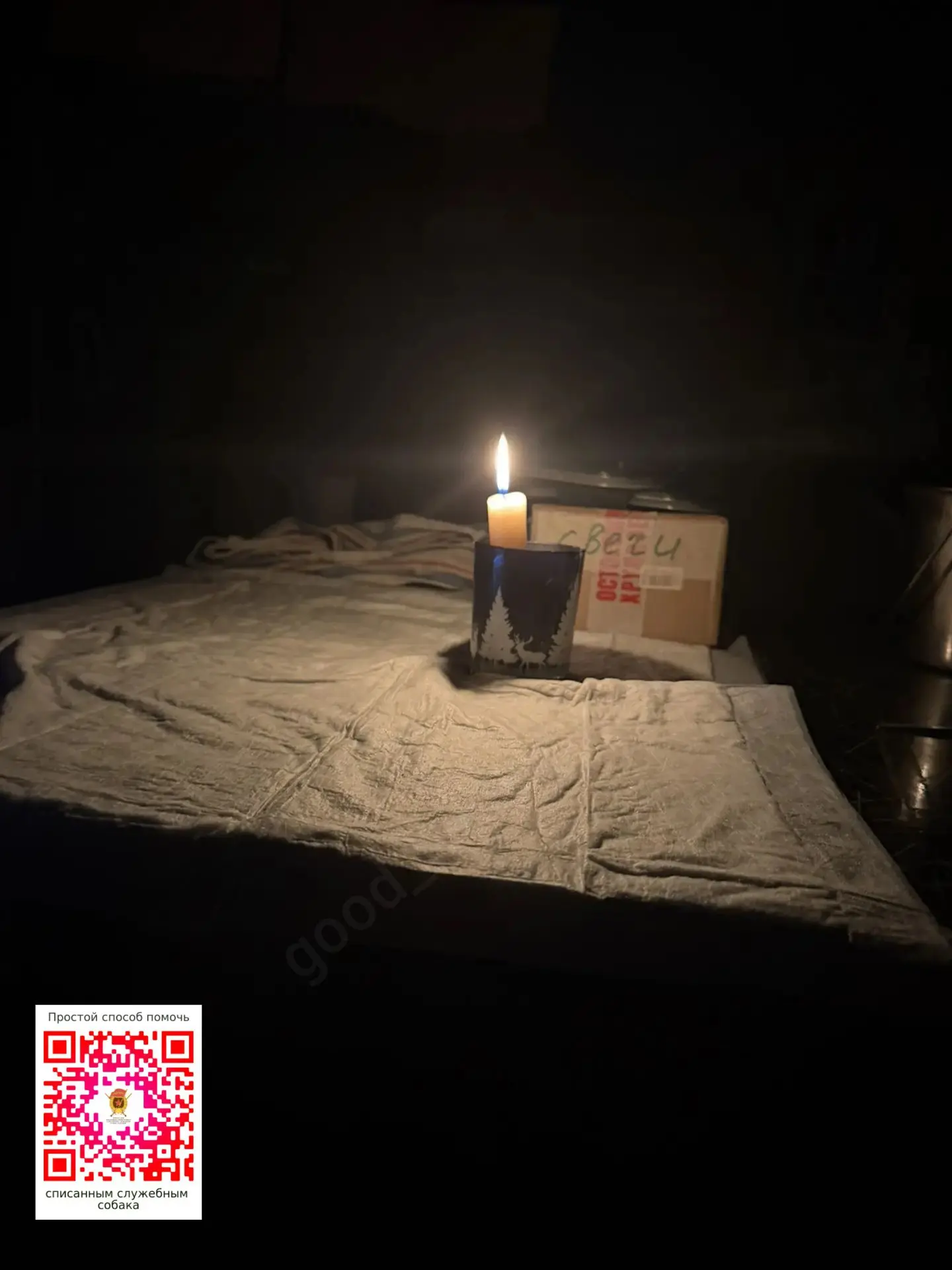 🆘В приюте нет электричества, обрыв на линии! Включение❌ нескоро 🆘